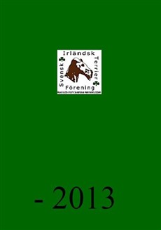 Jubileumsbok -2013